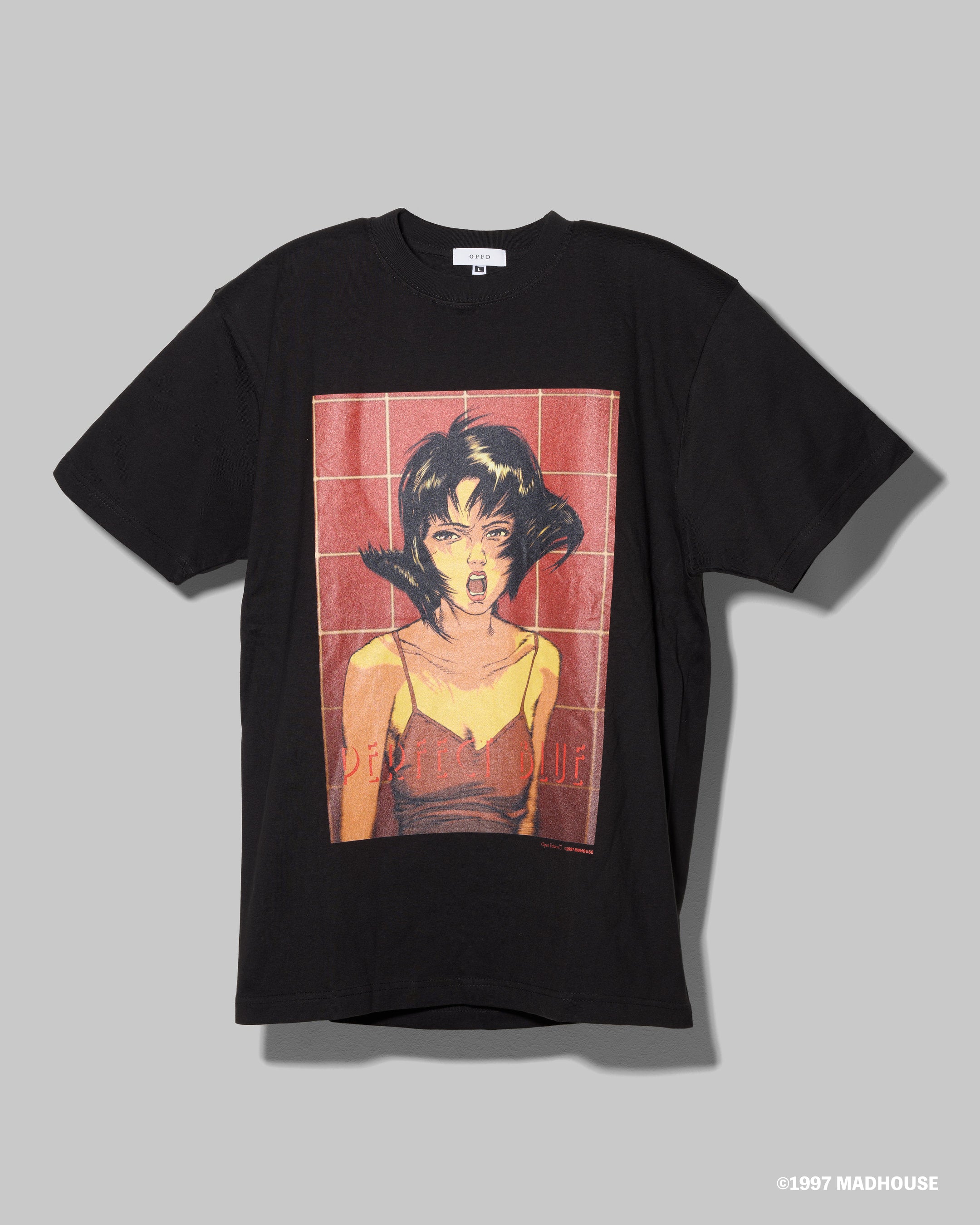 PERFECT BLUE T-SHIRTS 002